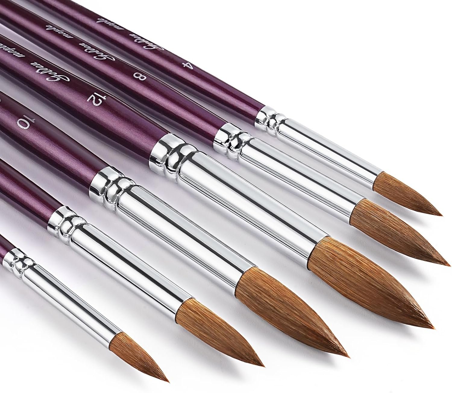 Golden Maple Professional Watercolor Brushes Set – 6PC Natural Hair Horsehair Round Point Artist Paint Brushes for Adults Watercolor Acrylic Ink Gouache Painting Supplies