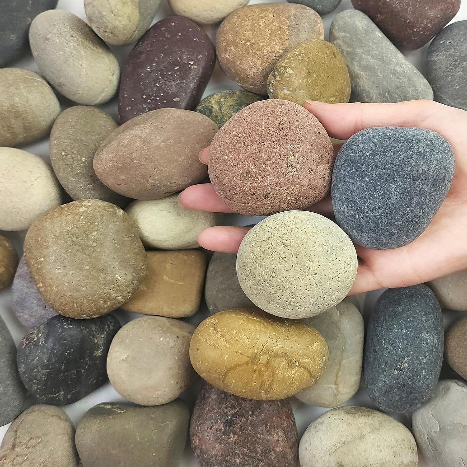 FANTIAN 5 lbs Natural Aquarium Rocks, 2-3 Inch River Rocks for Plant