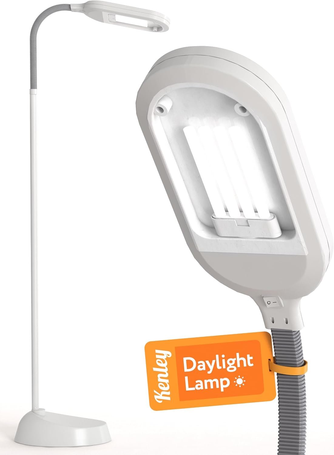 Kenley Natural Daylight Floor Lamp with Adjustable Gooseneck