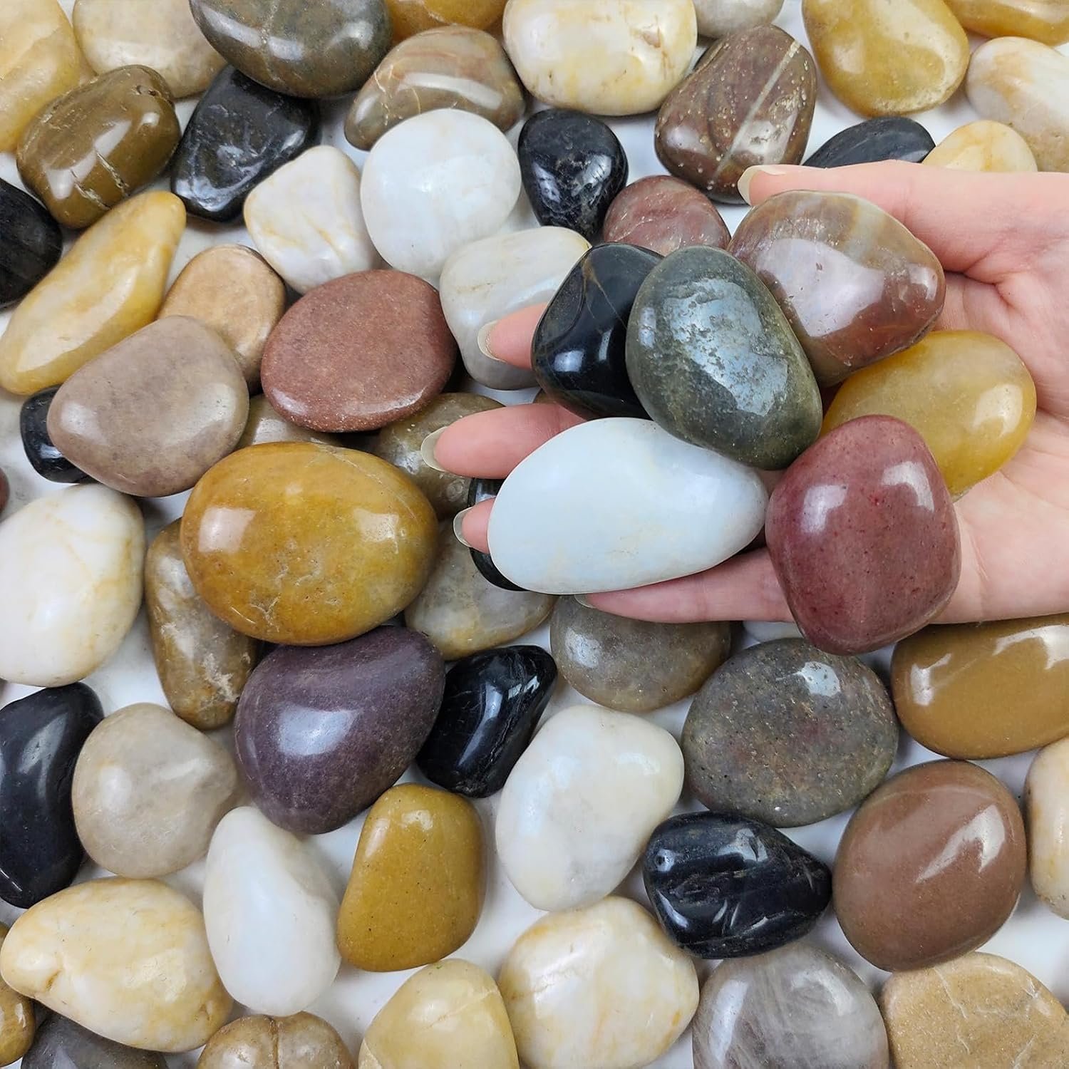 FANTIAN 5 lbs River Rocks Pebbles for Indoor Plants, 1-2 Inch Aquarium Rock