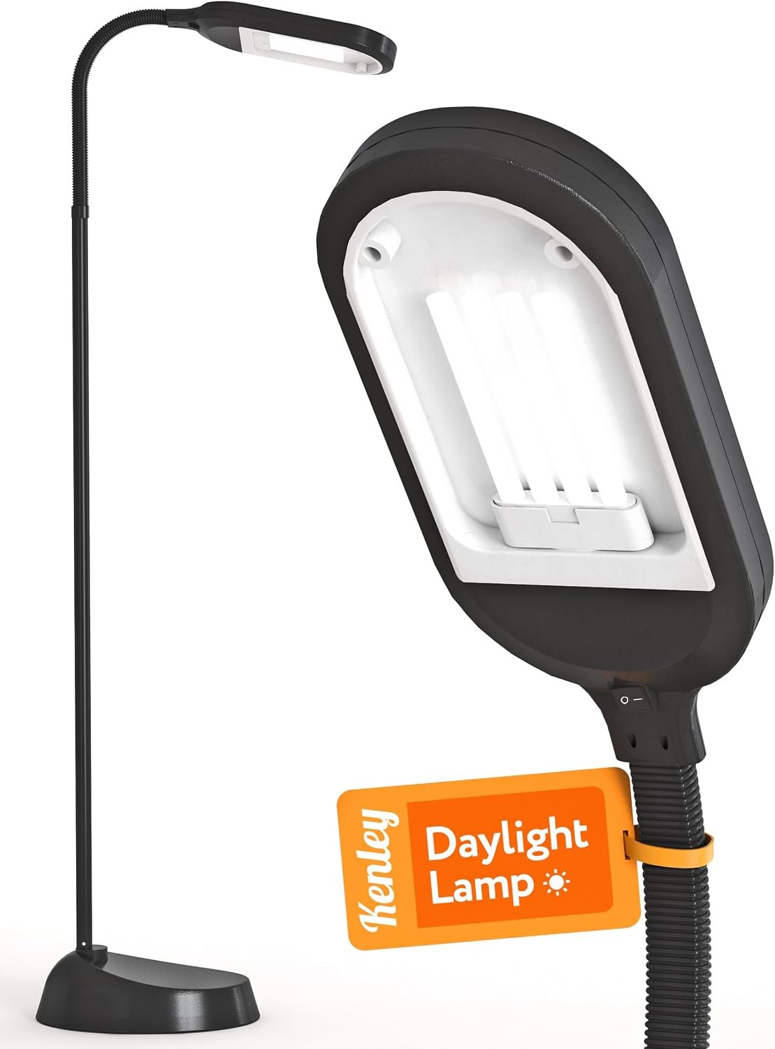 Kenley Natural Daylight Floor Lamp with Adjustable Gooseneck