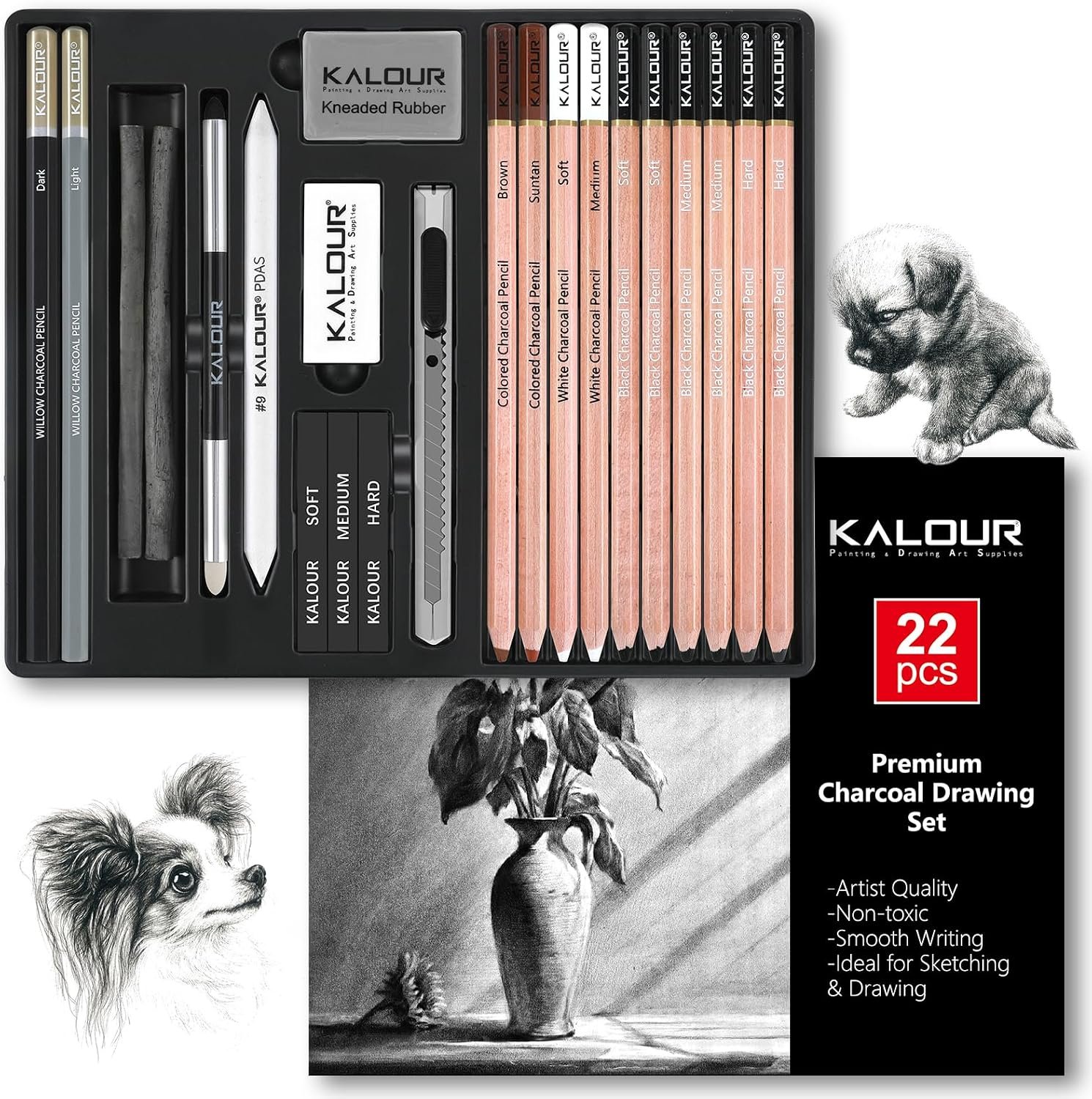 KALOUR PDAS 22pcs Charcoal Drawing Set, Professional Art Supplies, Black & White Charcoal Pencils for Drawing, Sketching, Shading, Blending, Artist Pencils for Beginners & Pro Artists