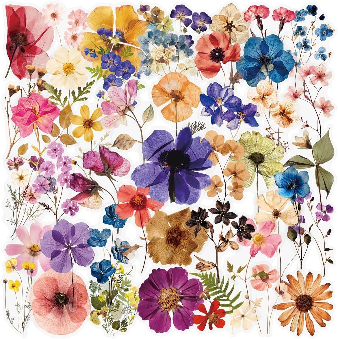 50PCS Transparent Flora Scrapbook Stickers, Vintage Aesthetic Flowers Sticker for Scrapbooks Travel Journal, Vinyl Waterproof for Water Bottles Laptop Phone Scrapbook Supplies DIY Crafts (Flower-B)